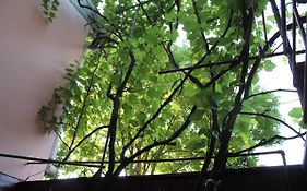 Hostel Old City Sololaki